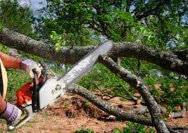 Best Lawn Grading and Leveling  in East Berwick, PA