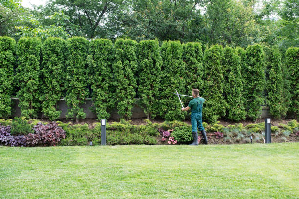 Best Tree Mulching Services  in East Berwick, PA